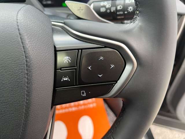 TOYOTA LEXUS RZ300E 2024 Image 31