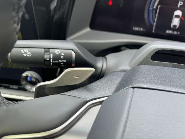 TOYOTA LEXUS RZ300E 2024 Image 31