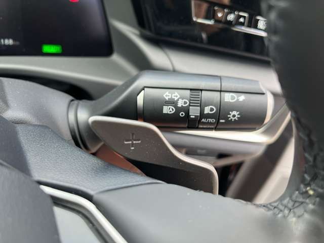 TOYOTA LEXUS RZ300E 2024 Image 31