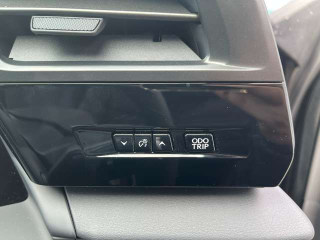 TOYOTA LEXUS RZ300E 2024 Image 31