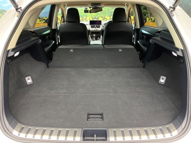 TOYOTA LEXUS NX300 2019 Image 31