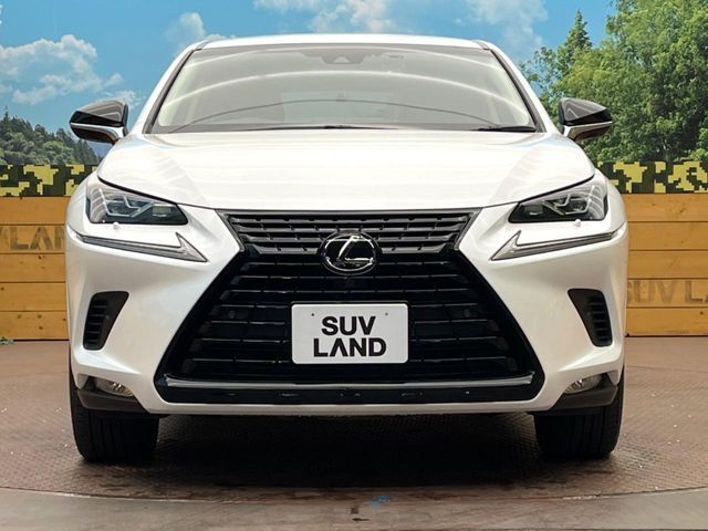 TOYOTA LEXUS NX300 2019 Image 31