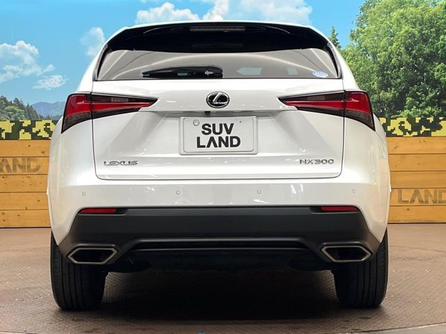 TOYOTA LEXUS NX300 2019 Image 31