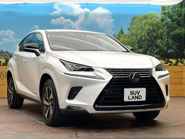 TOYOTA LEXUS NX300 2019 Image 31
