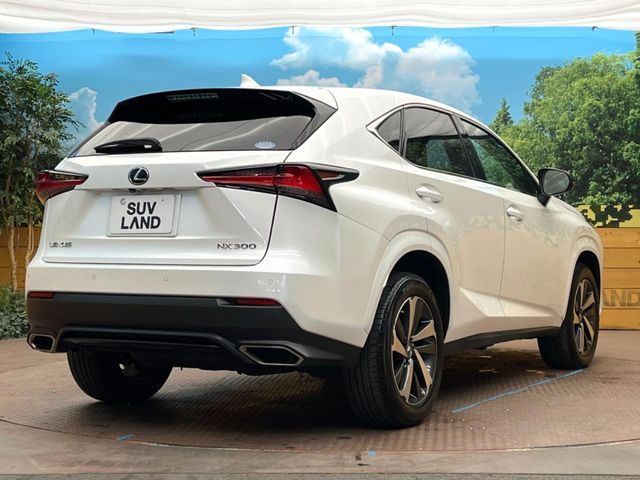 TOYOTA LEXUS NX300 2019 Image 31