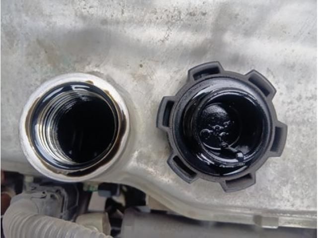 HINO RANGER 2017 Image 31