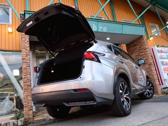 TOYOTA LEXUS NX300H 2015 Image 31