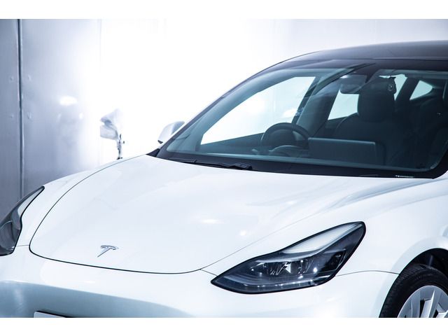 TESLA MODEL 3 2021 Image 31