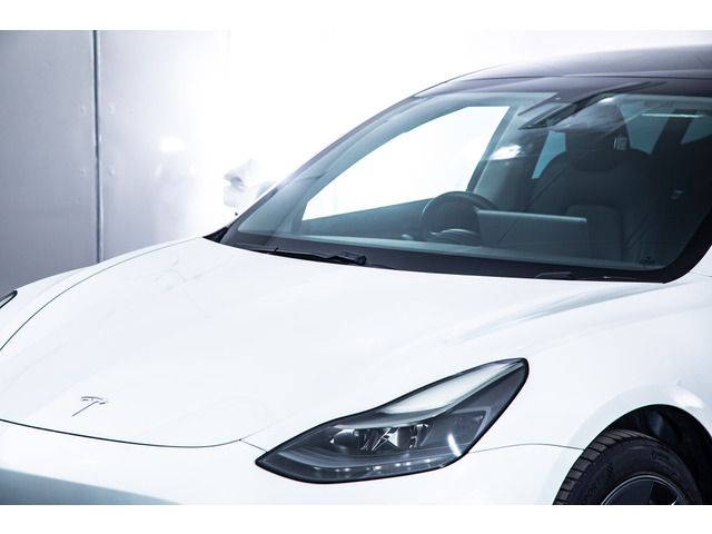 TESLA MODEL 3 2021 Image 31