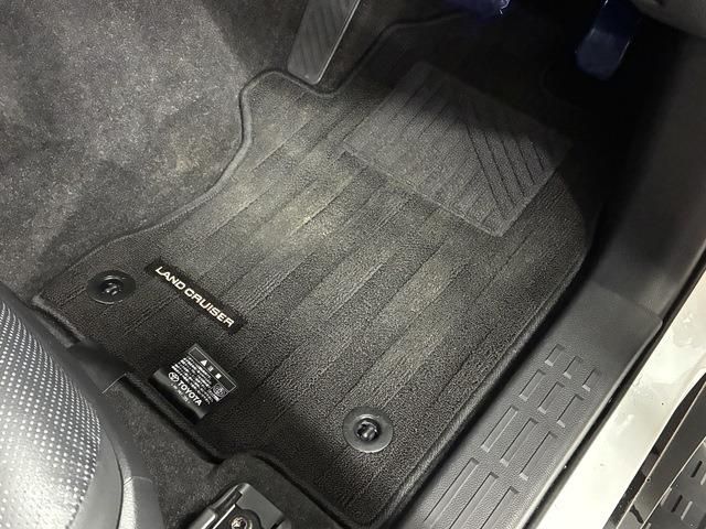 TOYOTA LANDCRUISER 250 2024 Image 31