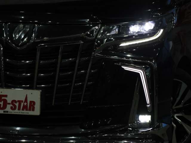 TOYOTA ALPHARD 2018 Image 31