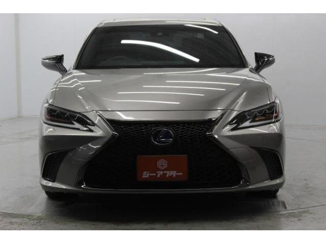 TOYOTA LEXUS ES300H 2019 Image 31