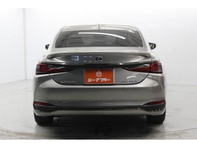 TOYOTA LEXUS ES300H 2019 Image 31