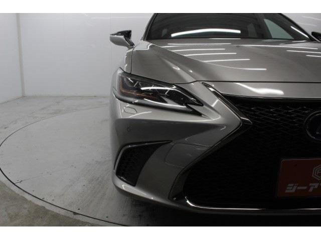 TOYOTA LEXUS ES300H 2019 Image 31