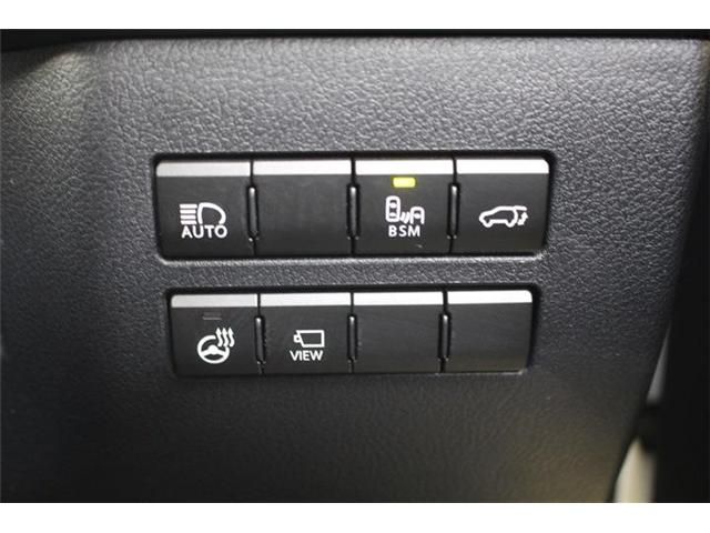 TOYOTA LEXUS NX300H AWD 2020 Image 31