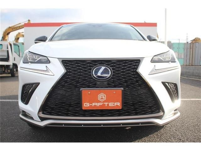 TOYOTA LEXUS NX300H AWD 2020 Image 31