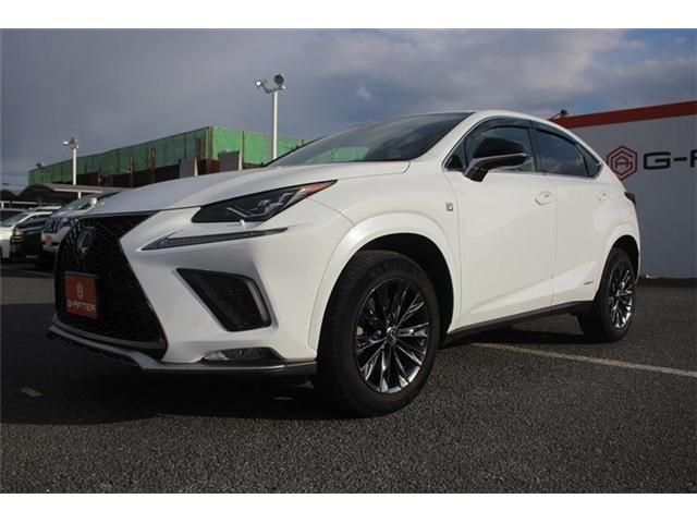 TOYOTA LEXUS NX300H AWD 2020 Image 31