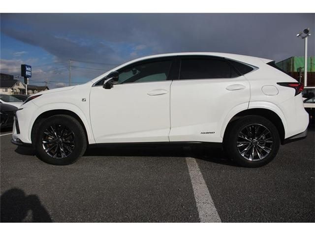 TOYOTA LEXUS NX300H AWD 2020 Image 31