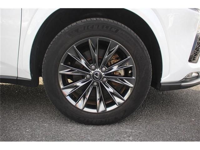 TOYOTA LEXUS NX300H AWD 2020 Image 31