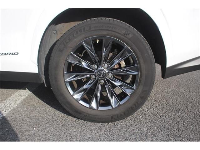 TOYOTA LEXUS NX300H AWD 2020 Image 31