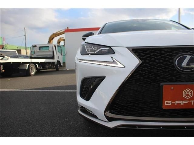 TOYOTA LEXUS NX300H AWD 2020 Image 31