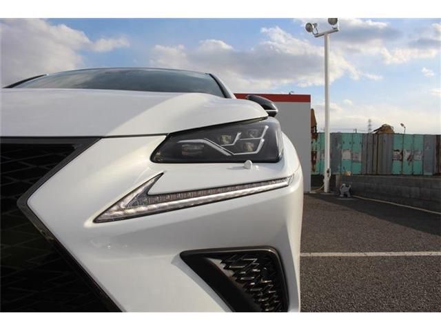 TOYOTA LEXUS NX300H AWD 2020 Image 31