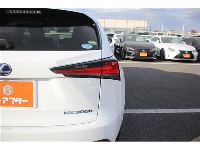 TOYOTA LEXUS NX300H AWD 2020 Image 31