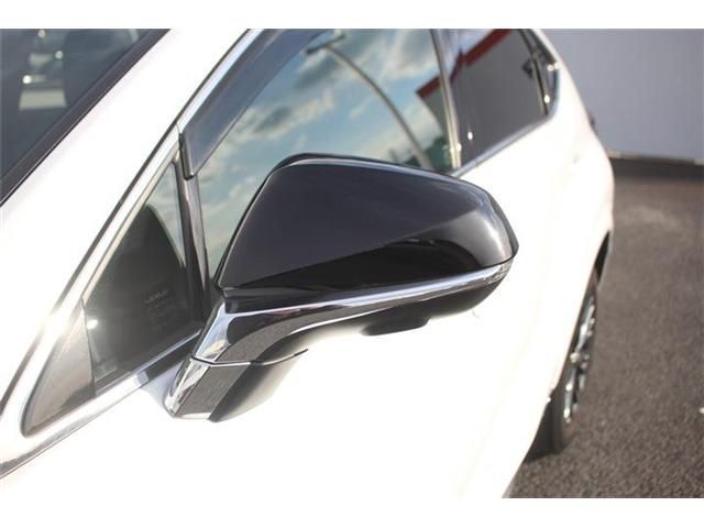 TOYOTA LEXUS NX300H AWD 2020 Image 31