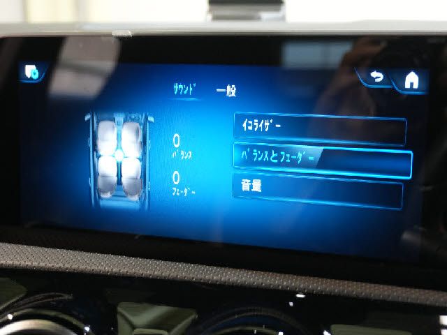 MERCEDES BENZ A CLAS 2019 Image 31