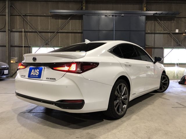 TOYOTA LEXUS ES300H 2019 Image 31