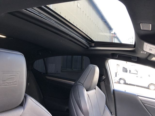 TOYOTA LEXUS ES300H 2019 Image 31