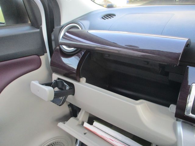 DAIHATSU CAST STYLE 2021 Image 31