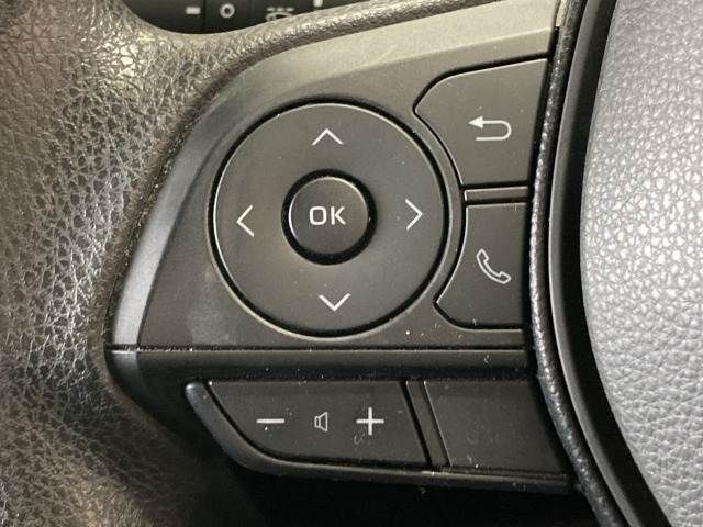 TOYOTA RAV4 4WD 2019 Image 31