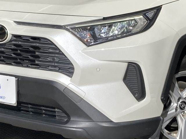 TOYOTA RAV4 4WD 2019 Image 31