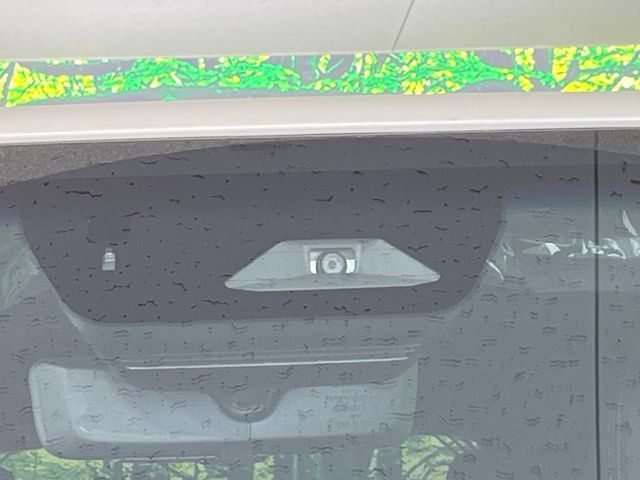 TOYOTA LANDCRUISER 250 2024 Image 31