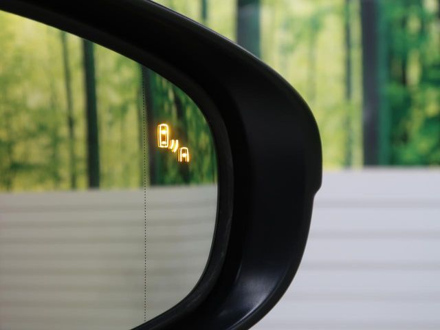 TOYOTA LEXUS IS300H 2017 Image 31