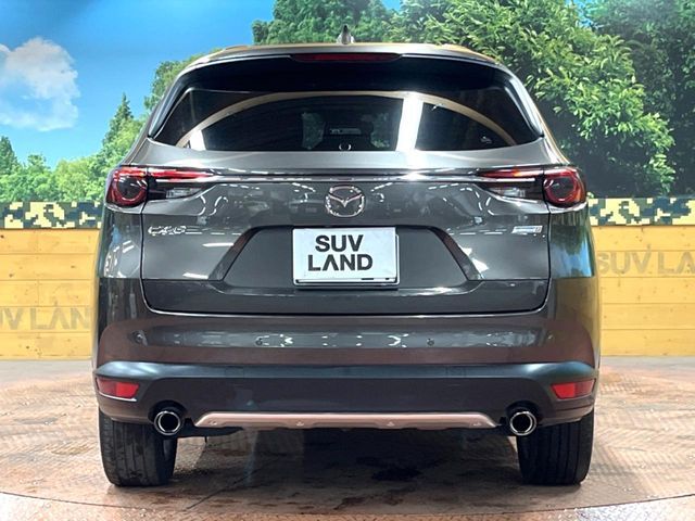 MAZDA CX-8 2018 Image 31