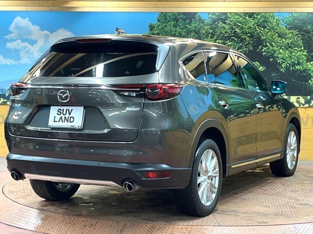MAZDA CX-8 2018 Image 31