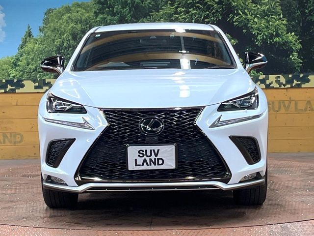 TOYOTA LEXUS NX300 2019 Image 31