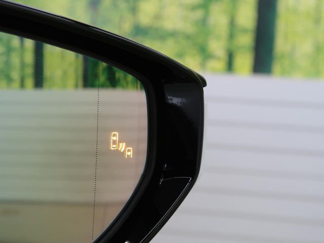 TOYOTA LEXUS LC500H 2018 Image 31