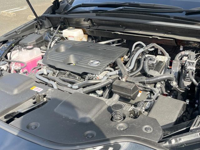 TOYOTA LEXUS NX350H 2023 Image 31