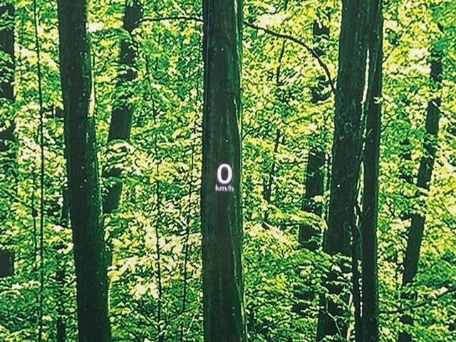 MAZDA MX-30 2020 Image 31