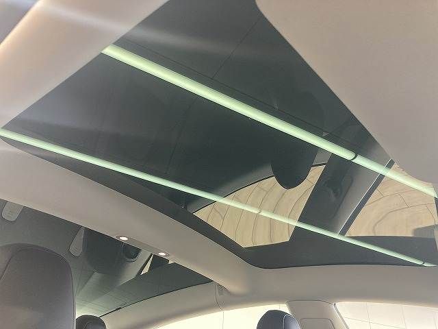TESLA MODEL 3 2021 Image 31