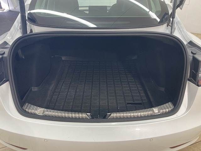 TESLA MODEL 3 2021 Image 31
