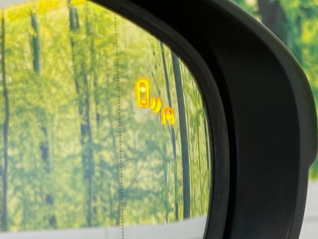 TOYOTA LEXUS IS300H 2013 Image 31