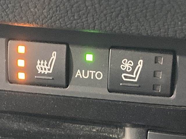 TOYOTA LEXUS ES300H 2019 Image 31