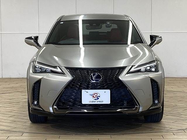 TOYOTA LEXUS UX250H 2019 Image 31