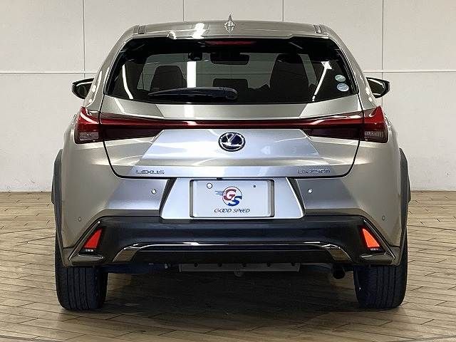 TOYOTA LEXUS UX250H 2019 Image 31