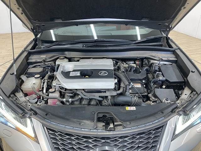 TOYOTA LEXUS UX250H 2019 Image 31