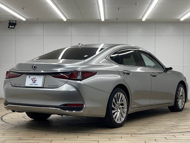 TOYOTA LEXUS ES300H 2019 Image 31